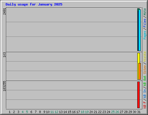 Daily usage for January 2025