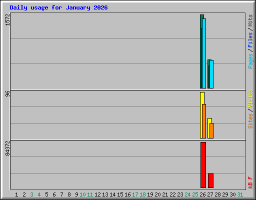 Daily usage for January 2026