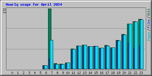 Hourly usage for April 2024
