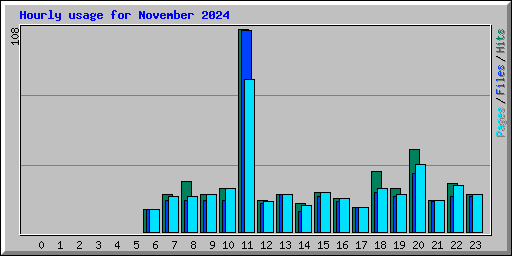 Hourly usage for November 2024