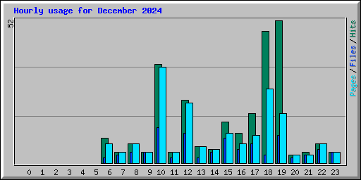 Hourly usage for December 2024