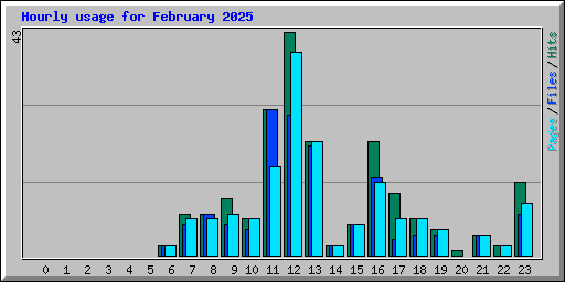 Hourly usage for February 2025