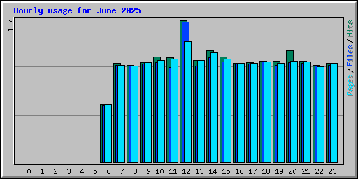 Hourly usage for June 2025