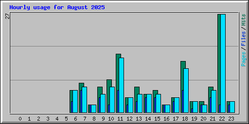 Hourly usage for August 2025