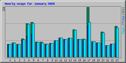 Hourly usage for January 2026